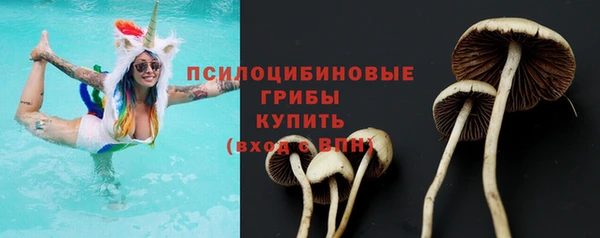 ECSTASY Алексеевка