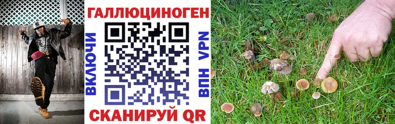 Псилоцибиновые грибы GOLDEN TEACHER  Тайшет 
